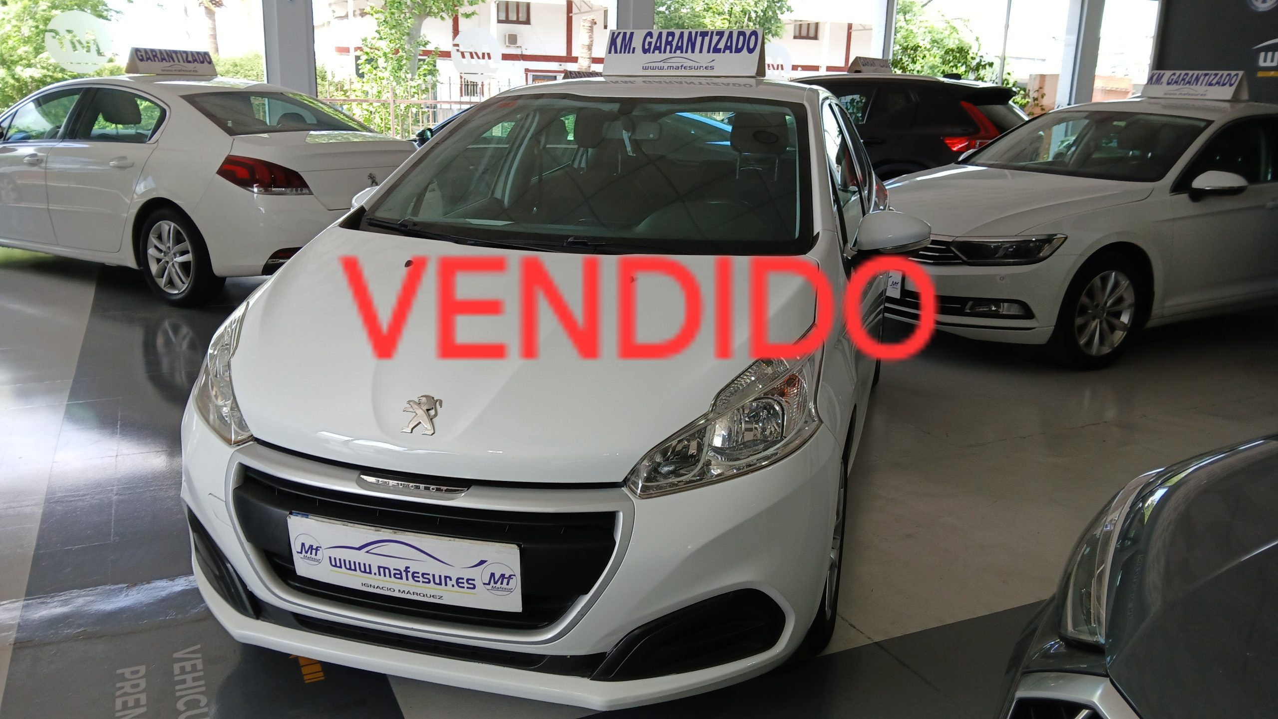 PEUGEOT 208 Active 1.6 Blue 75 cv