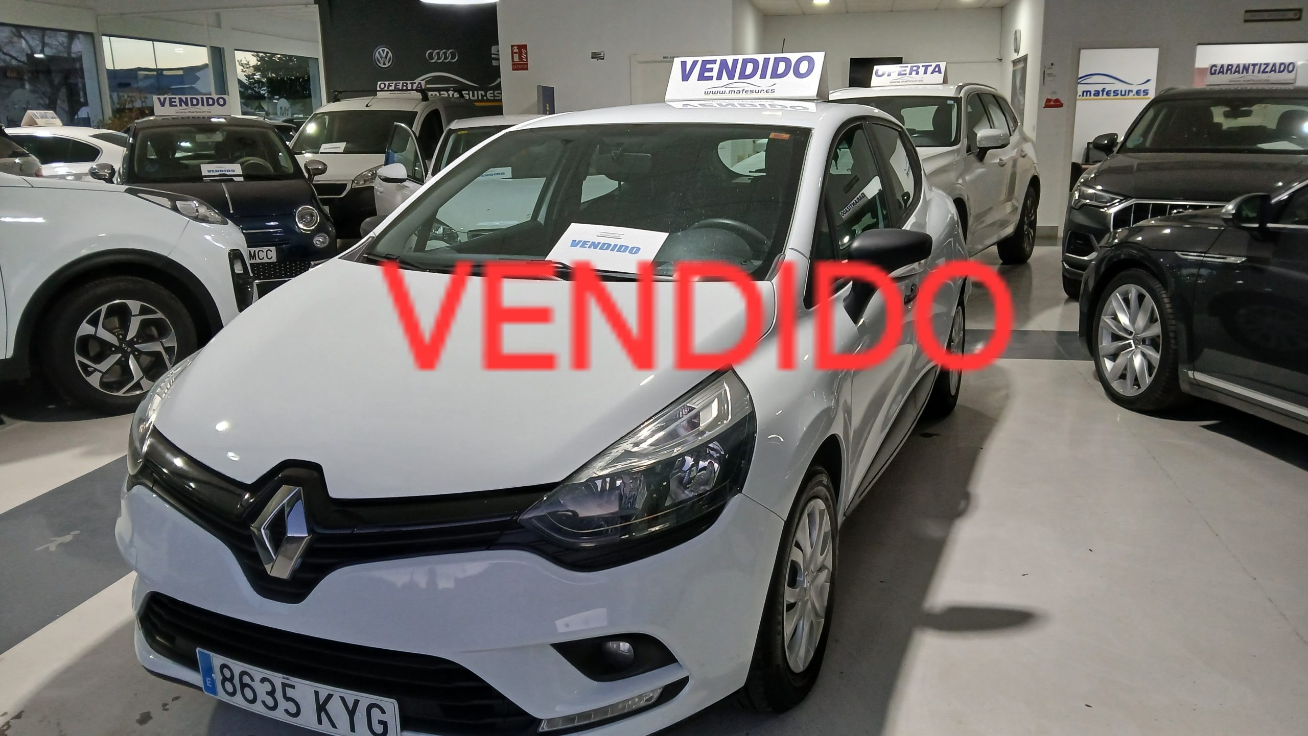 RENAULT RENAULT CLIO BUSINESS DCI 75 CV